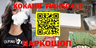 спиды Кингисепп