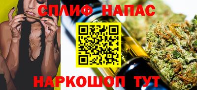 спиды Кингисепп