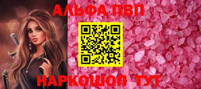 спиды Кингисепп