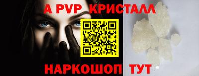 спиды Кингисепп