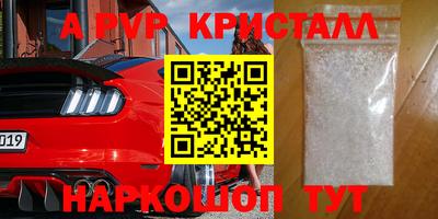спиды Кингисепп