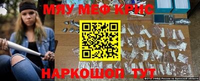 спиды Кингисепп