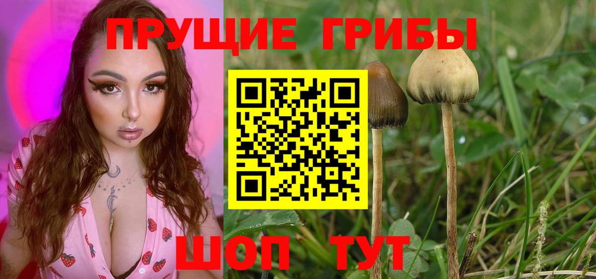 Псилоцибиновые грибы ЛСД  Вход с VPN  Искитим 
